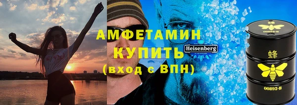 индика Алексин