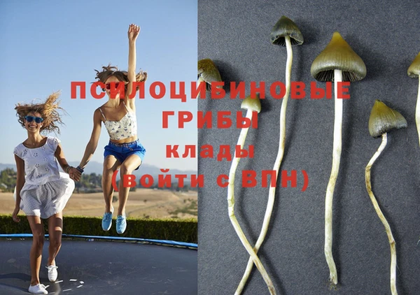 МДМА Абаза