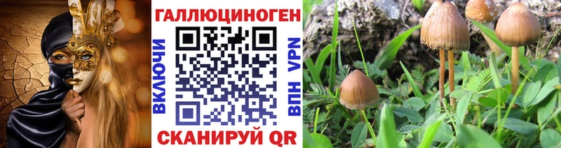 Галлюциногенные грибы мухоморы  Власиха 
