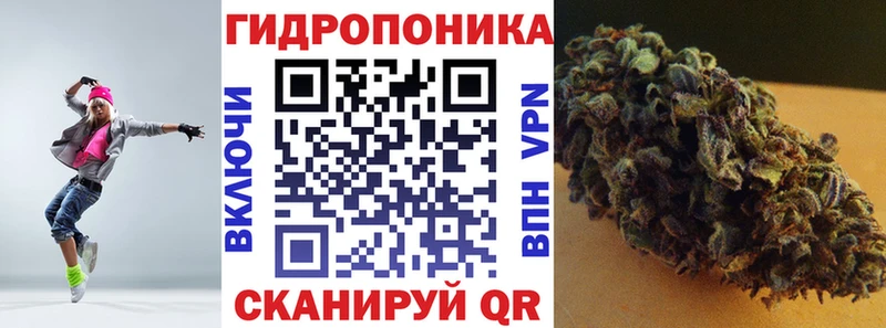 Канабис SATIVA & INDICA Власиха